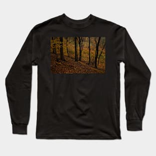 Dramatic Fall Long Sleeve T-Shirt